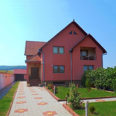 Vila La Izvor Petresti Bagian luar foto