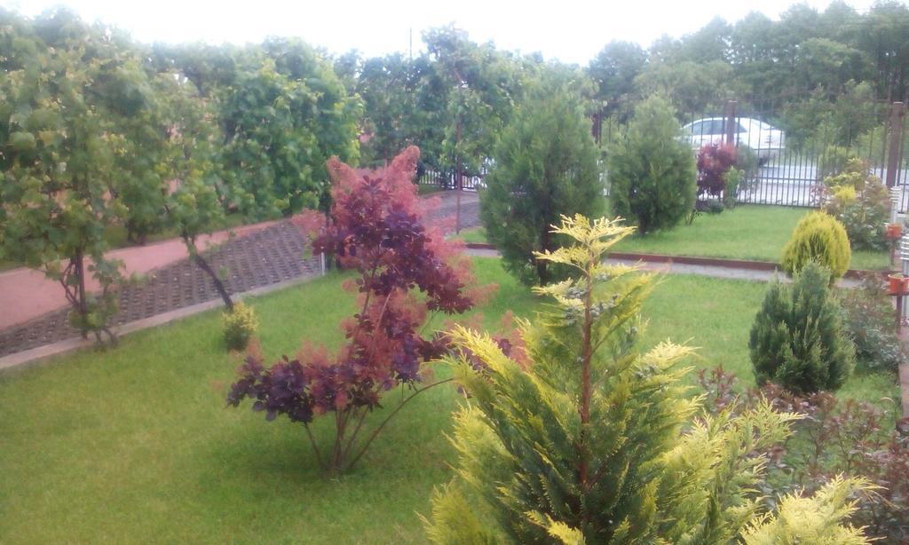 Vila La Izvor Petresti Bagian luar foto